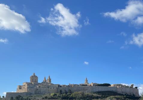 De Meibloem foto Malta