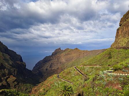 De Meibloem Tenerife