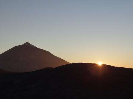 De Meibloem Tenerife