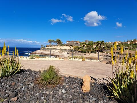 De Meibloem Tenerife